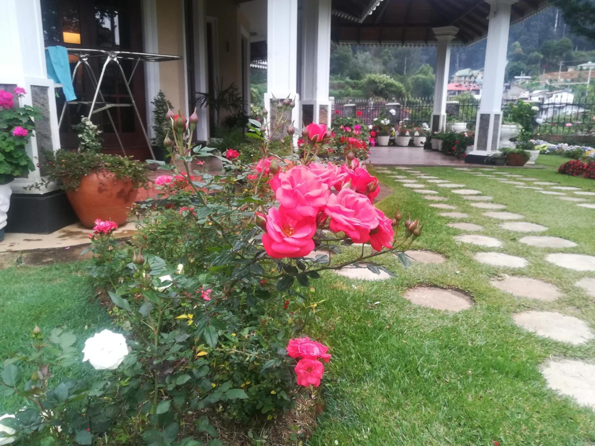 Appartamento Royal Wattles Nuwara Eliya Esterno foto